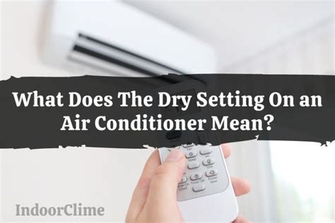 What Does the Dry Setting Do on an Air Conditioner? And Why Does It Feel Like a Desert in My Living Room?